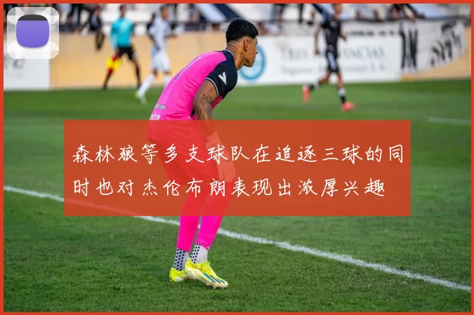 森林狼等多支球队在追逐三球的同时也对杰伦布朗表现出浓厚兴趣