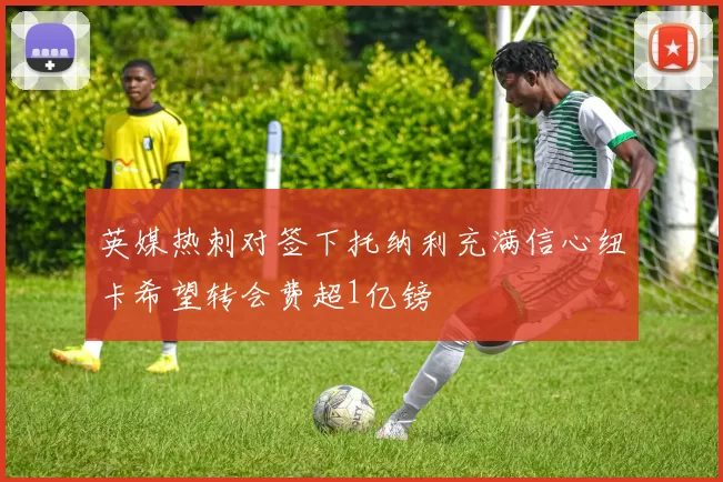 英媒热刺对签下托纳利充满信心纽卡希望转会费超1亿镑